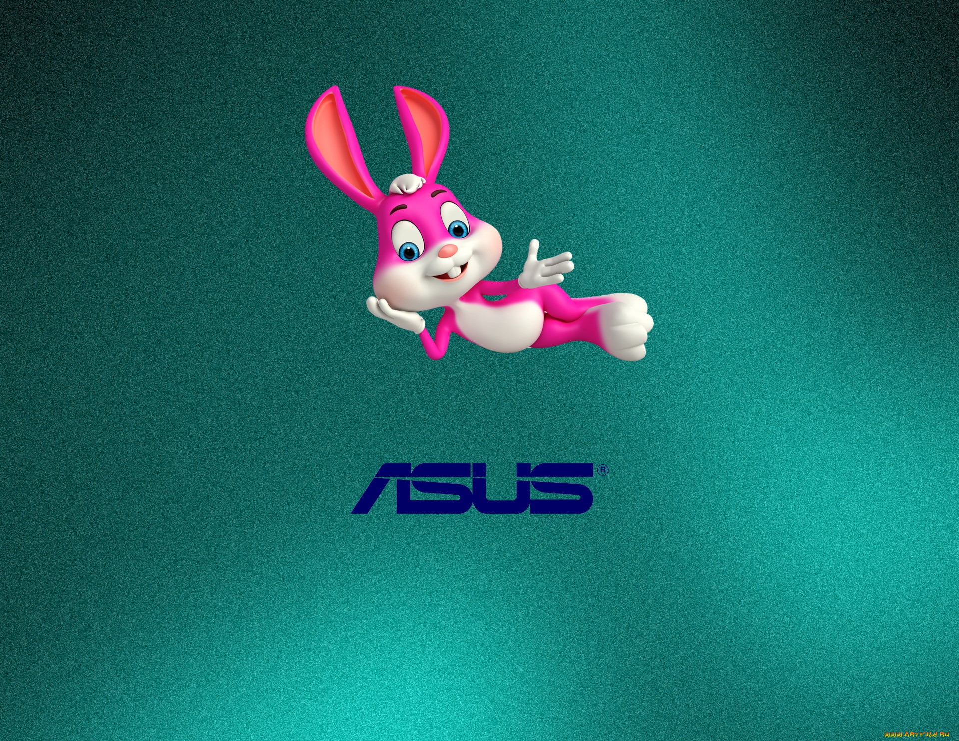 , asus, , , 